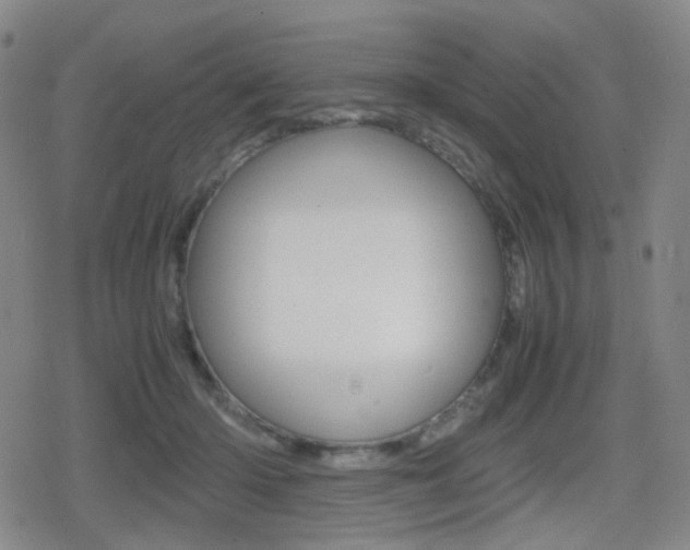 X0000080760414200612150939