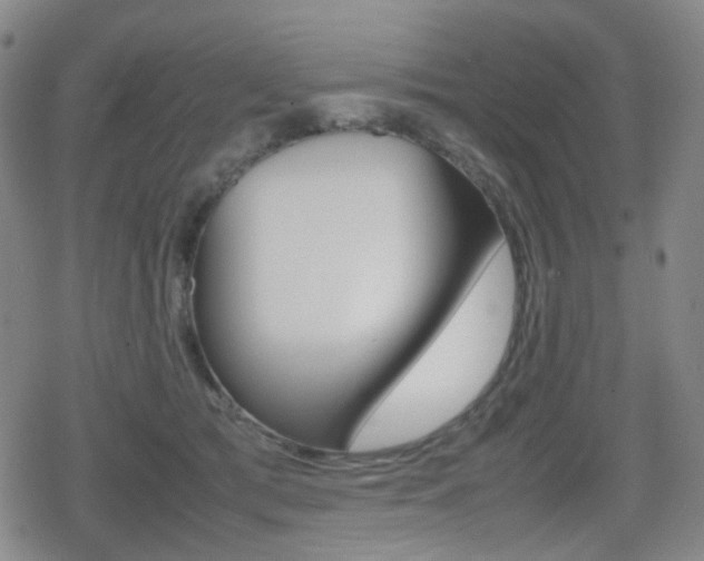 X0000080760417200612150939