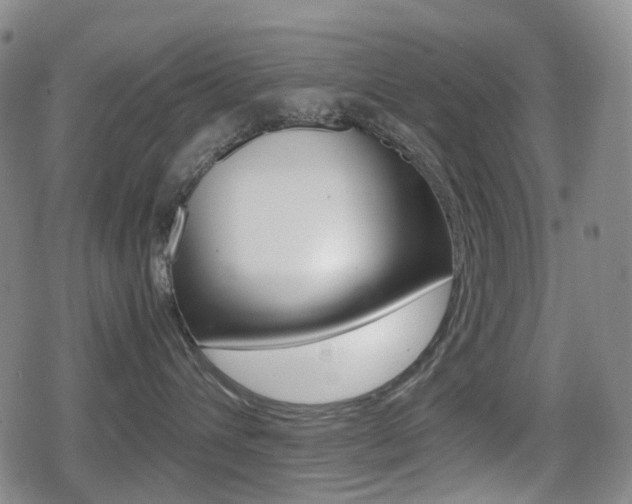 X0000080760432200612150938