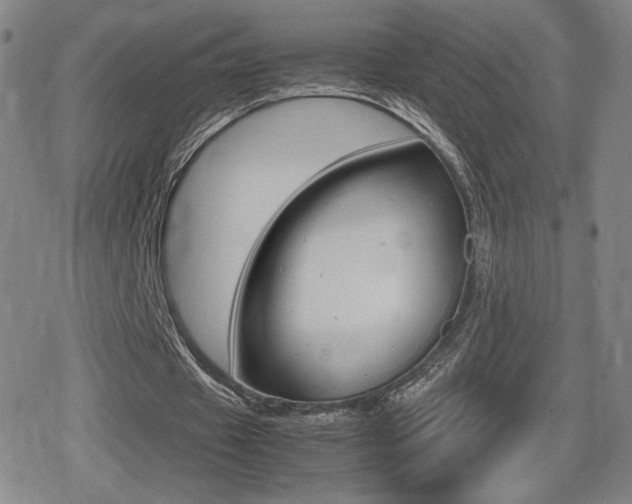X0000080760433200612150938