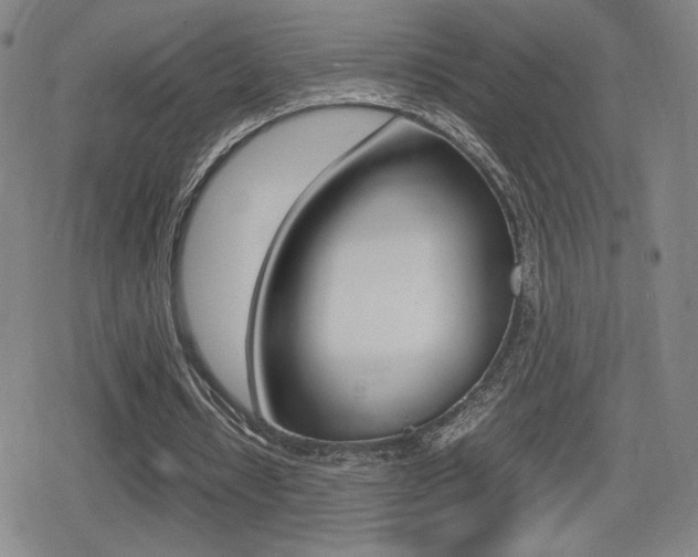 X0000080760434200612150938