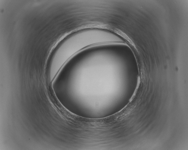 X0000080760436200612150938