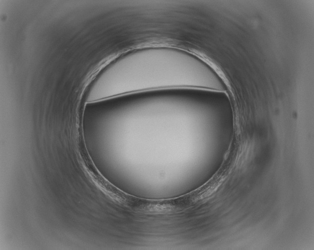 X0000080760437200612150938