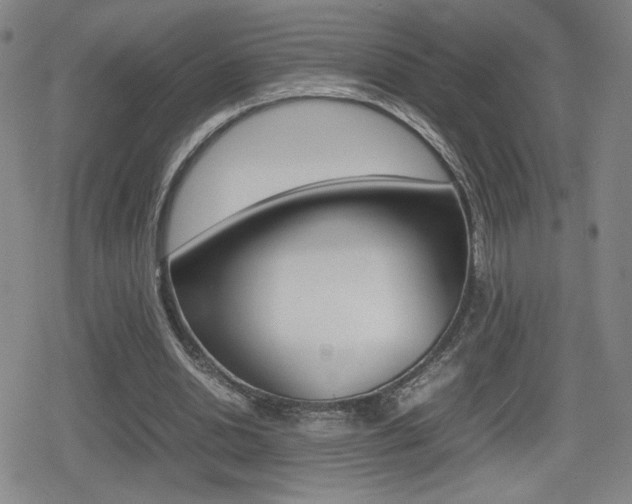 X0000080760438200612150938