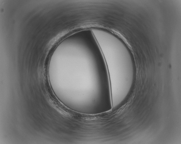X0000080760439200612150938
