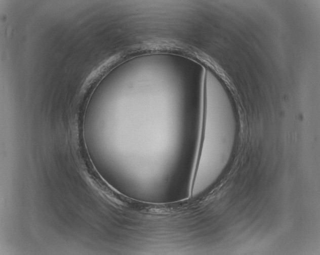 X0000080760442200612150938