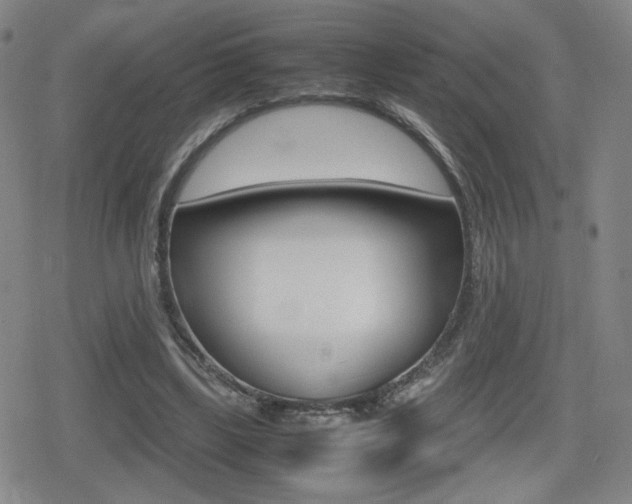 X0000080760443200612150938