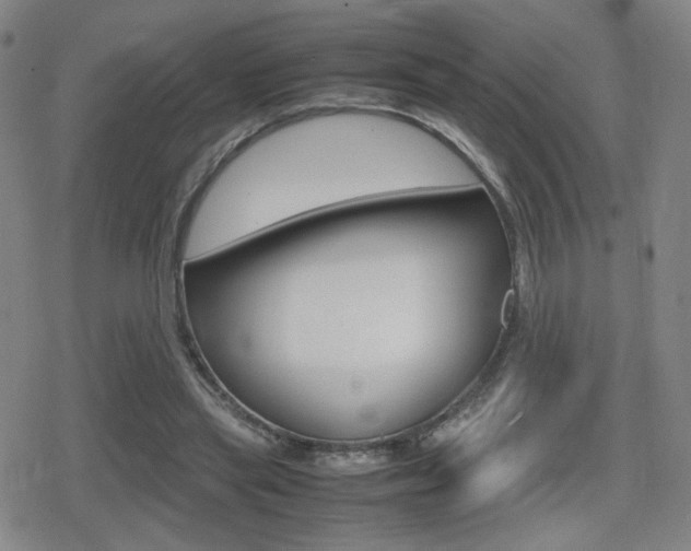 X0000080760445200612150938