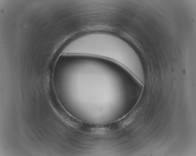 X0000080760448200612150938