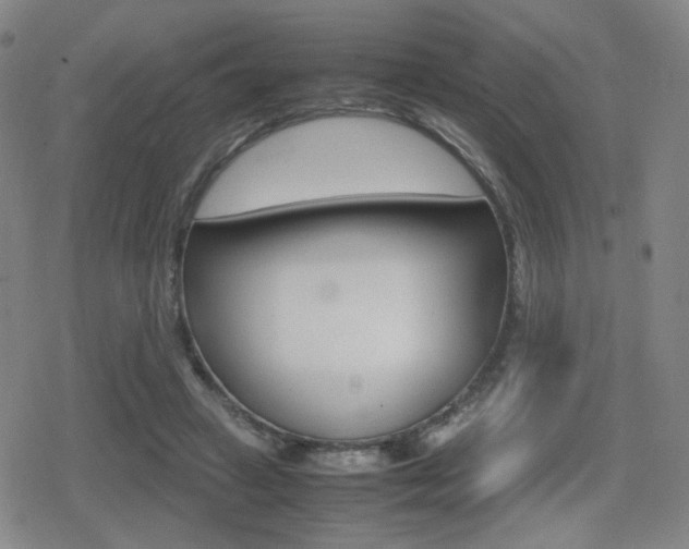 X0000080760449200612150938