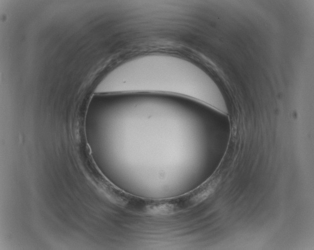 X0000080760452200612150938