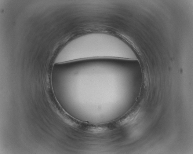 X0000080760453200612150938