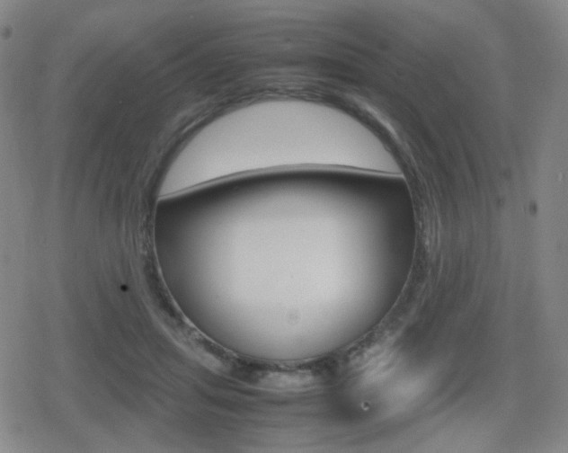 X0000080760455200612150938