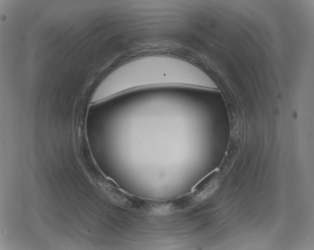 X0000080760456200612150938