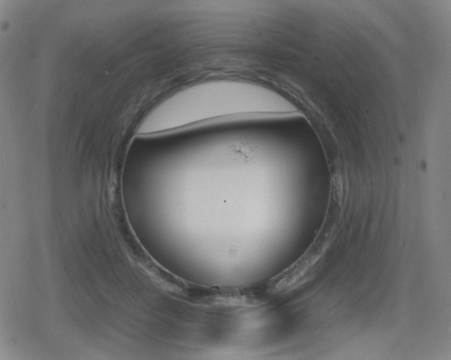X0000080760458200612150938
