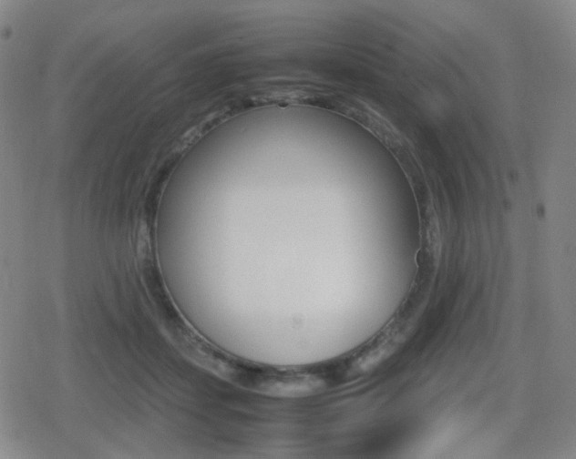 X0000080760459200612150938