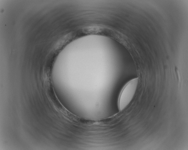 X0000080760460200612150938