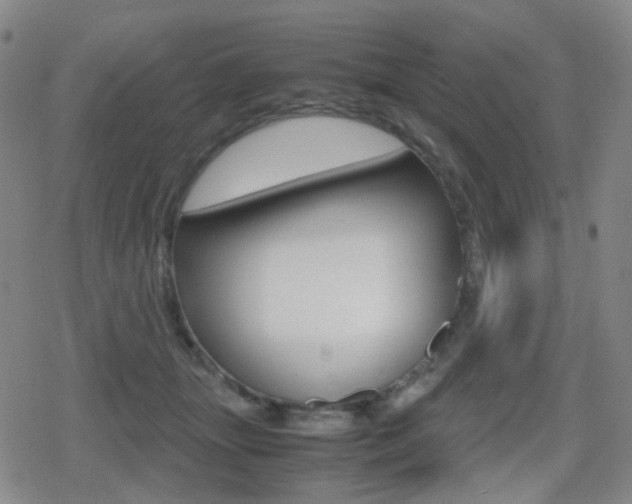 X0000080760463200612150938