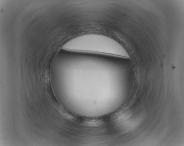 X0000080760467200612150938