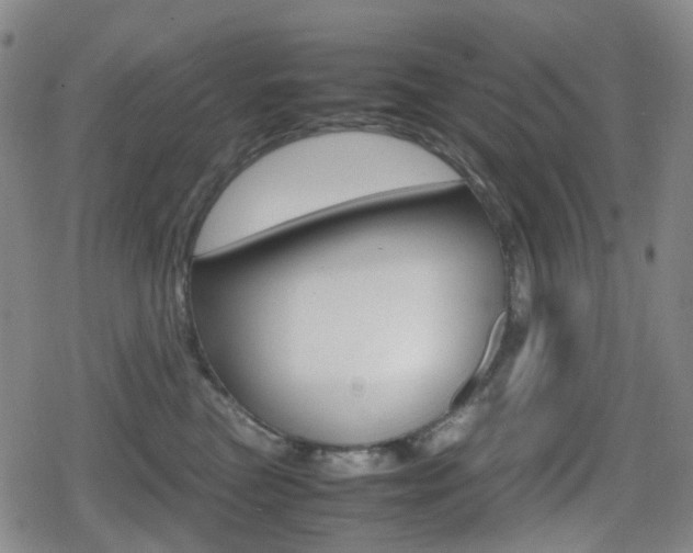 X0000080760473200612150938