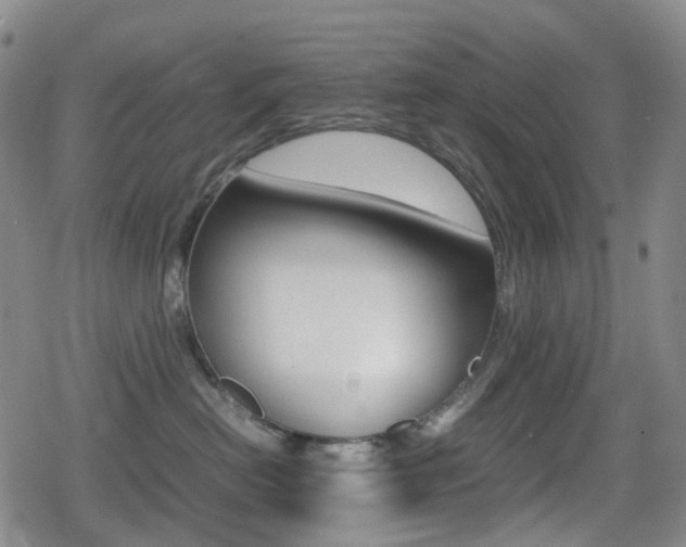 X0000080760478200612150938