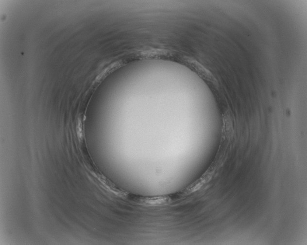 X0000080760479200612150938