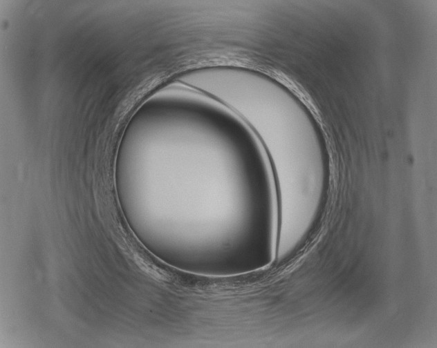 X0000080760481200612150938