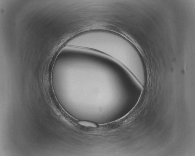 X0000080760485200612150938