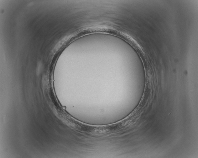 X0000080760487200612150938