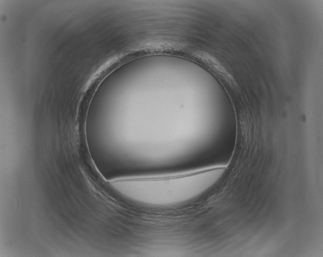 X0000080760488200612150937