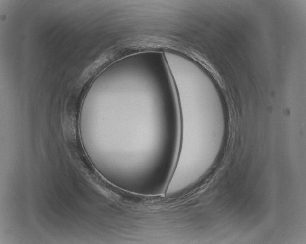 X0000080760489200612150937