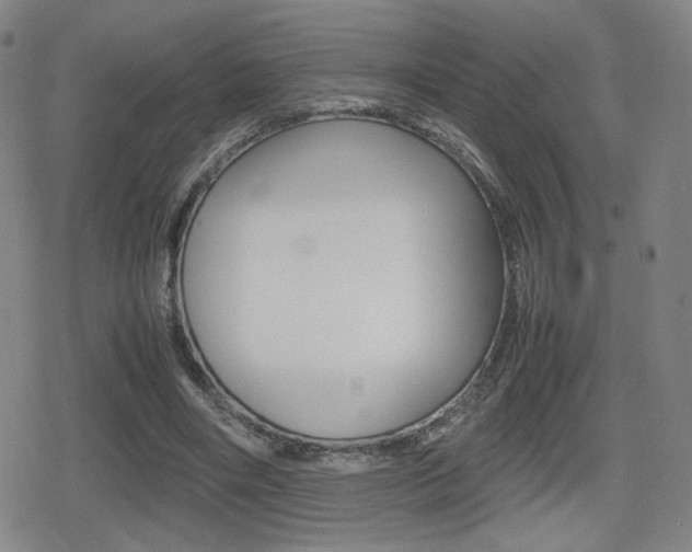 X0000080760490200612150937