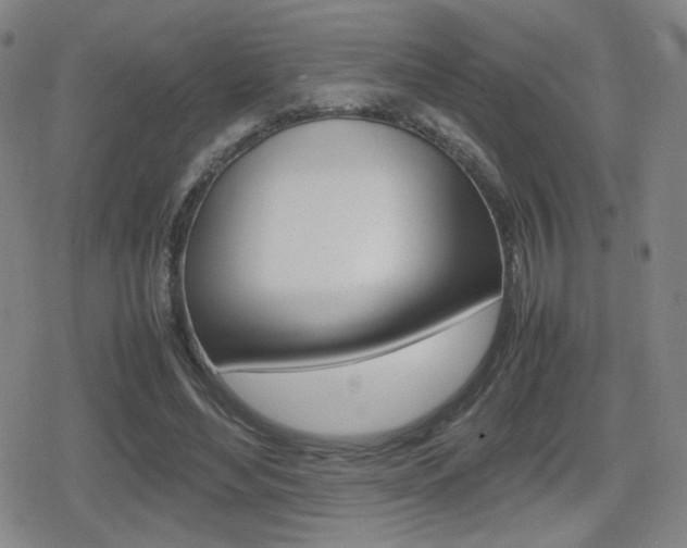X0000080760492200612150937