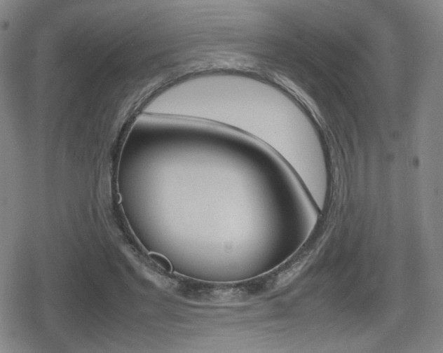 X0000080760493200612150937