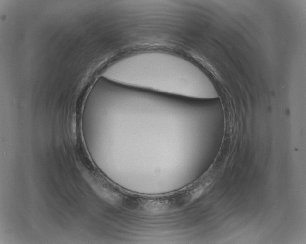 X0000080760494200612150937