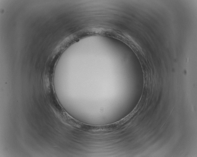 X0000080760500200612150937