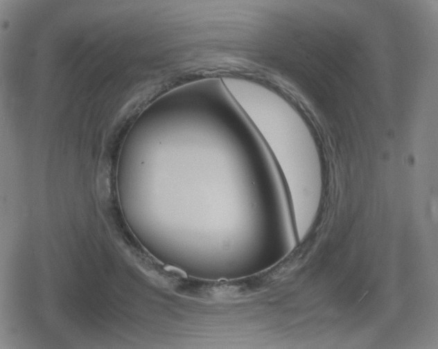X0000080760501200612150937