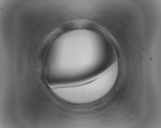 X0000080760505200612150937