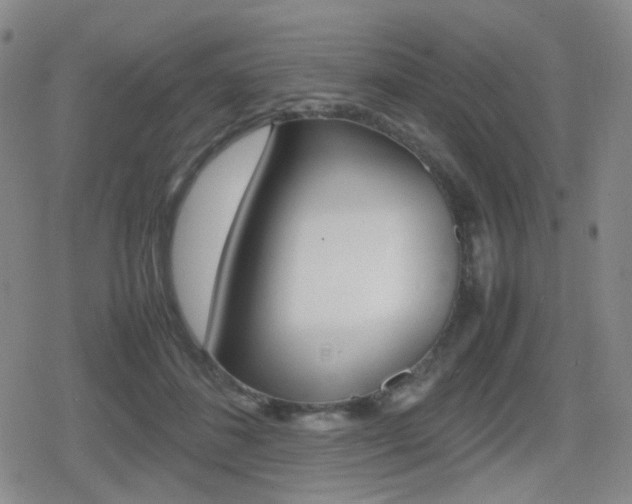 X0000080760508200612150937