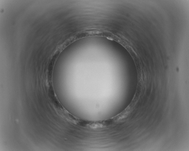 X0000080760512200612150937