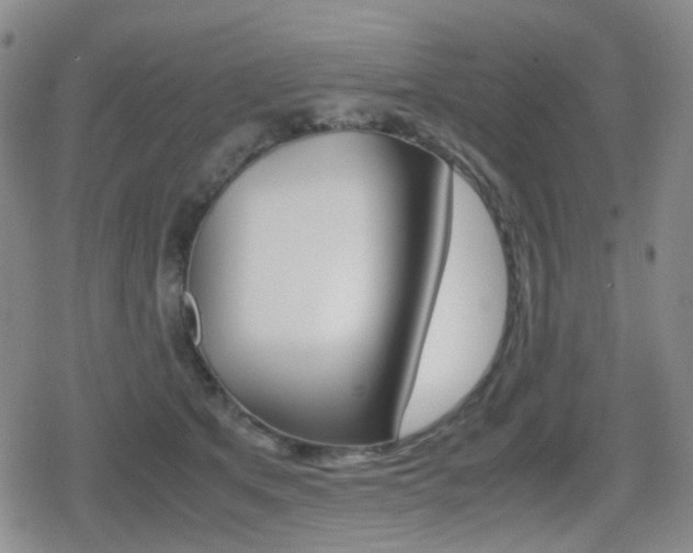 X0000080760513200612150937