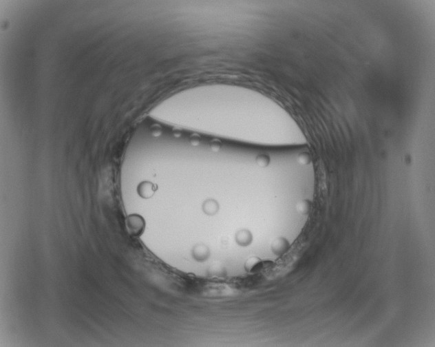 X0000080760519200612150937