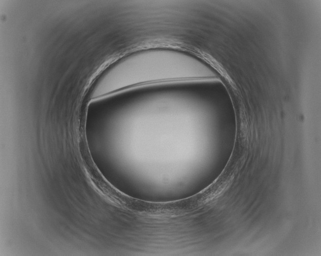 X0000080760530200612150936