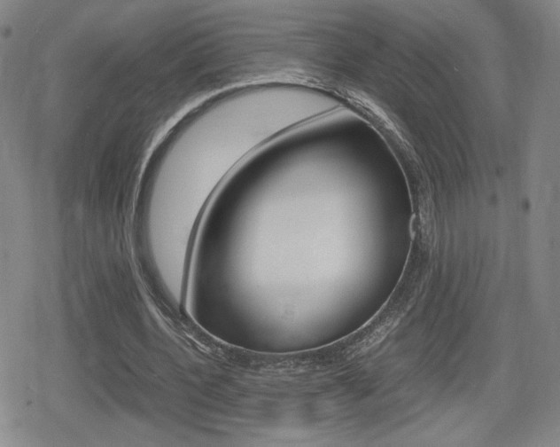 X0000080760532200612150936