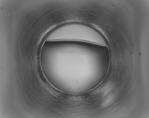 X0000080760535200612150936