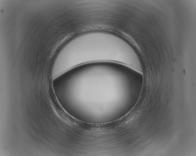 X0000080760538200612150936