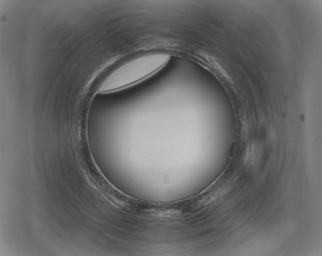 X0000080760539200612150936