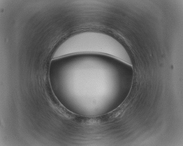 X0000080760546200612150936