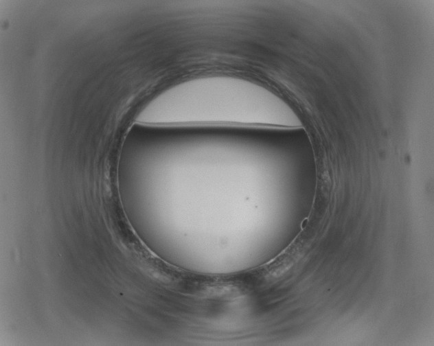 X0000080760547200612150936