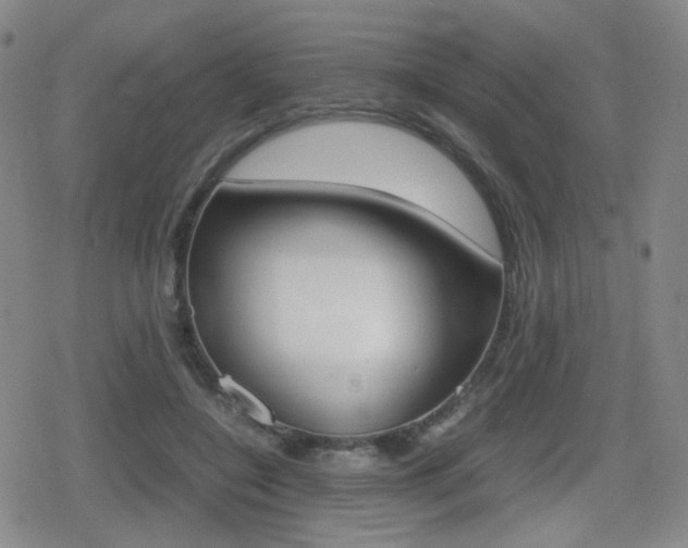 X0000080760548200612150936